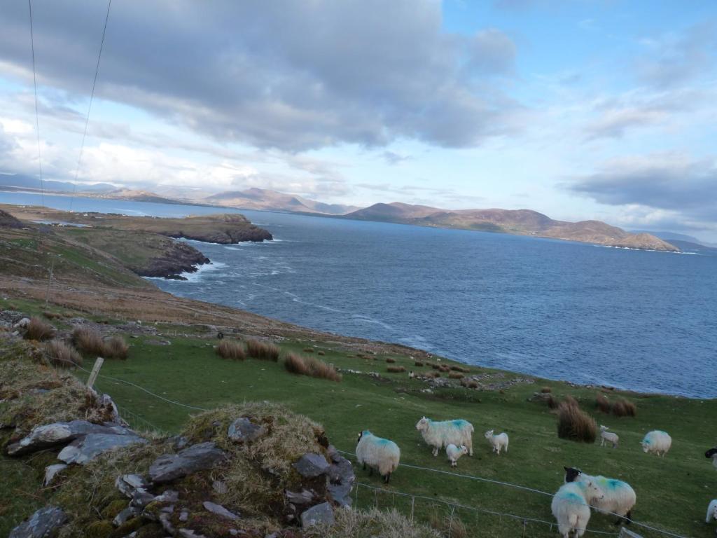 Skellig Cottages Ballinskelligs Εξωτερικό φωτογραφία